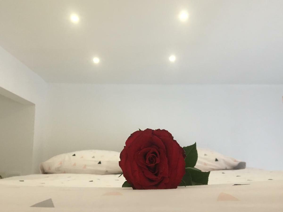 Studio Cosy Bourges Exterior foto